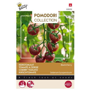 Pomodori Coll., Cherrytomat, Black Cherry frøpose