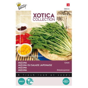 Xotica Coll., Mizuna / japansk salat, frøpose