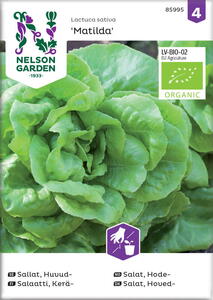 Økologisk salat, hoved-, Matilda, frøpose
