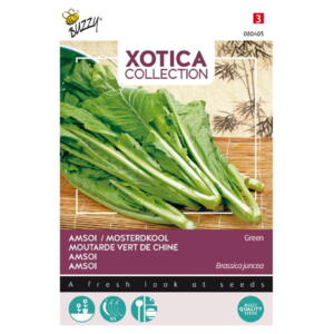 Xotica Coll., Sareptasennep, Indian Mustard, Grøn, frøpose