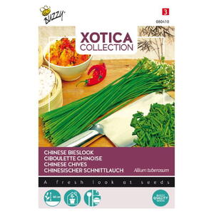 Xotica Coll., Kinaløg / kinesisk purløg, frøpose