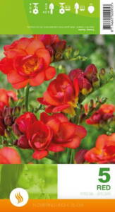 Billede af Freesia Double, red