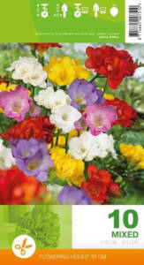 Billede af Freesia Double, Mixed