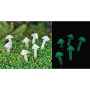 Billede af Glow mushrooms / Selvlysende svampe fra Fiddlehead Fairy Gardens