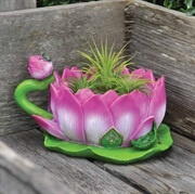 Billede af Lotus flower planter cup / Lotus Tekop fra Fiddlehead Fairy Garden