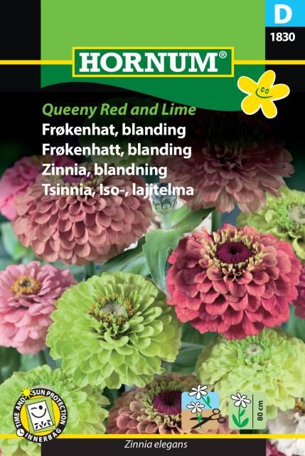 Frøkenhat, Blanding, Queeny Red and Lime frø