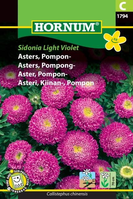 Asters, Pompon-, Sidonia light violet, frø
