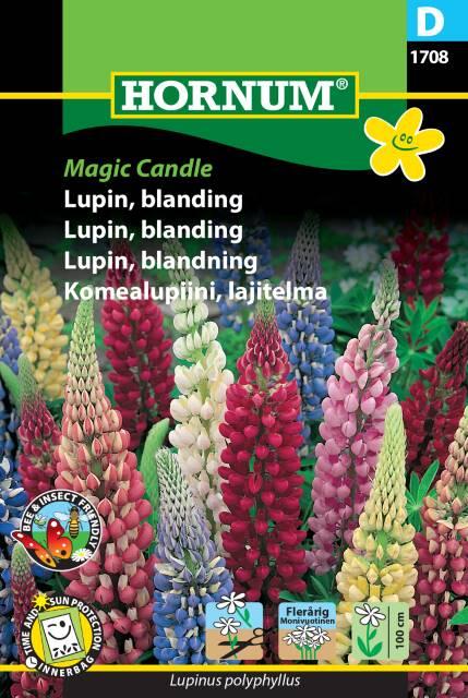 Lupin, Blanding, Magic Candle, frø
