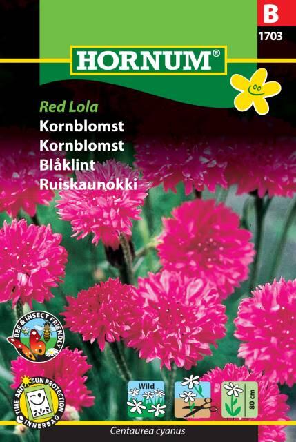 Kornblomst, Red Lola, frø