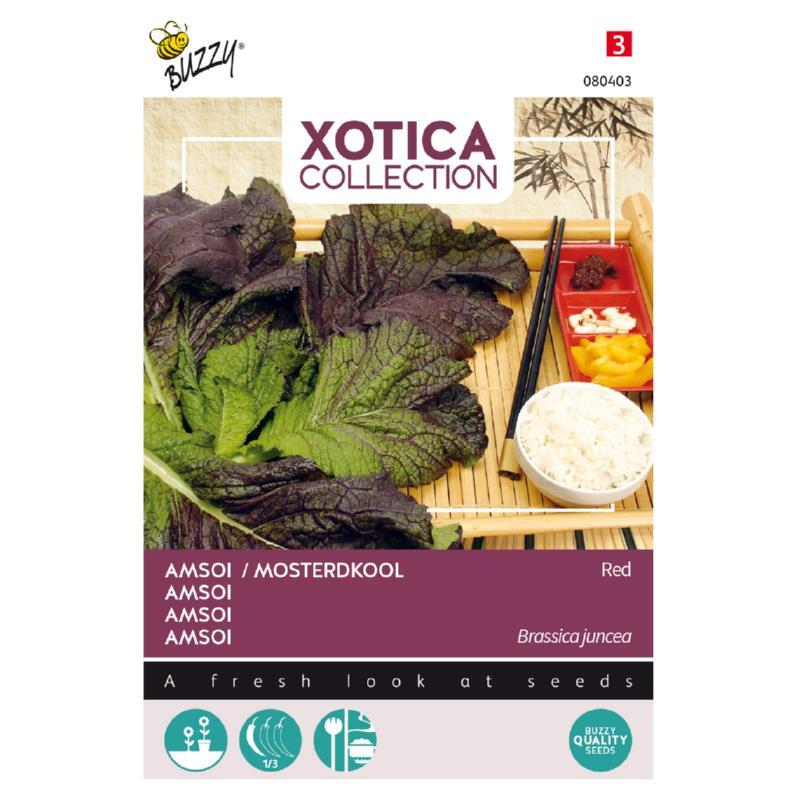 Xotica Coll., Sareptasennep, Indian Mustard, frøpose