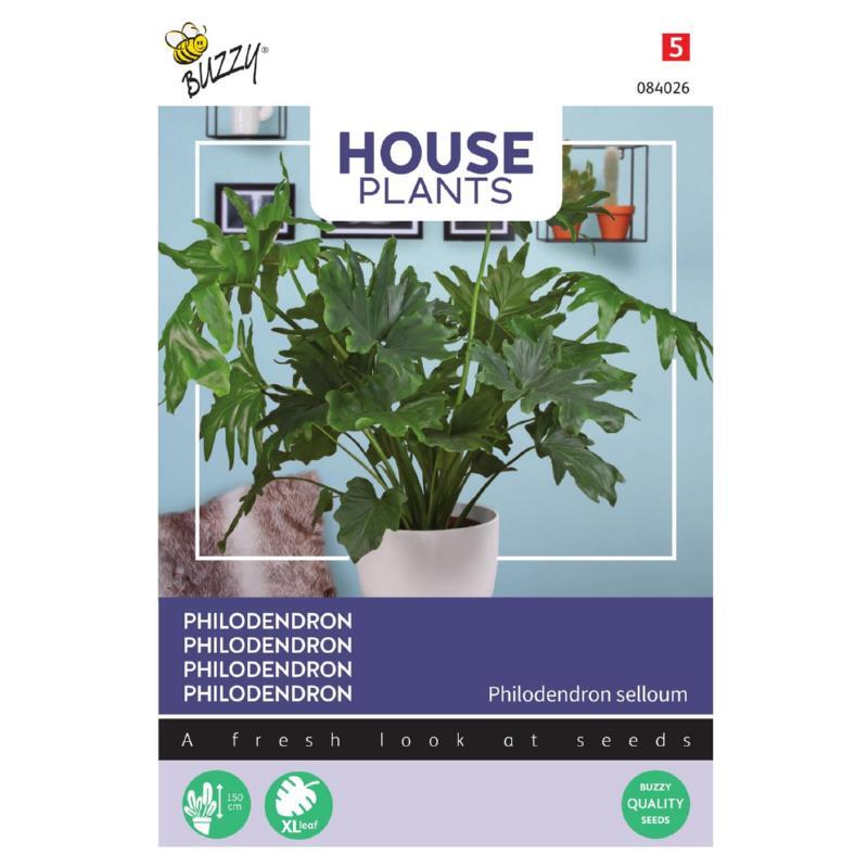 Stueplante, Philodendron, frøpose