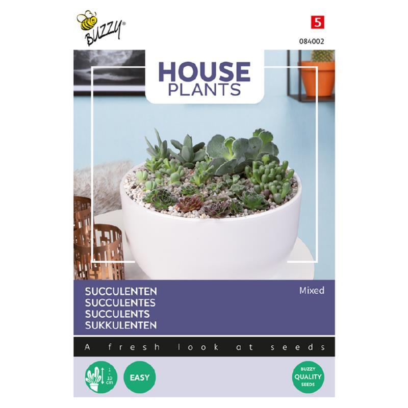 Houseplant coll., Sukkulent mix, frøpose