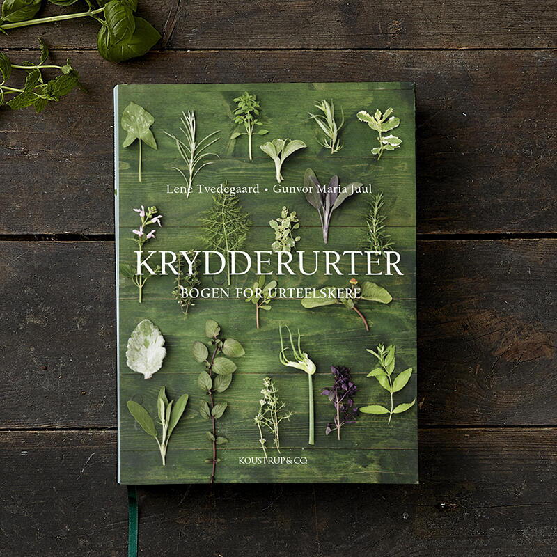 Billede af Bog: Krydderurter-bogen for urteelskere