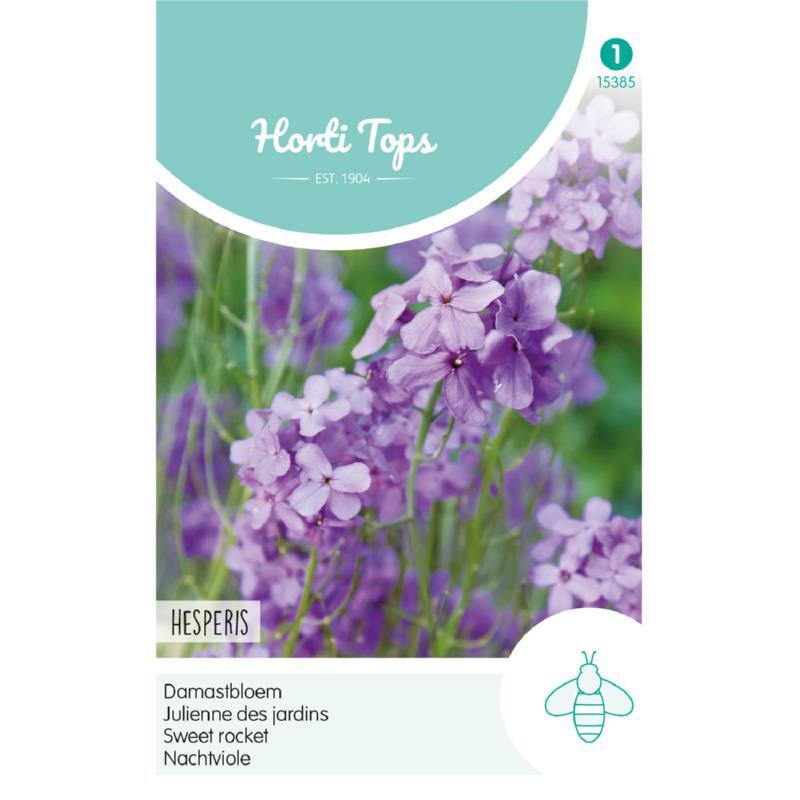 Billede af natviol, Hesperis, frøpose