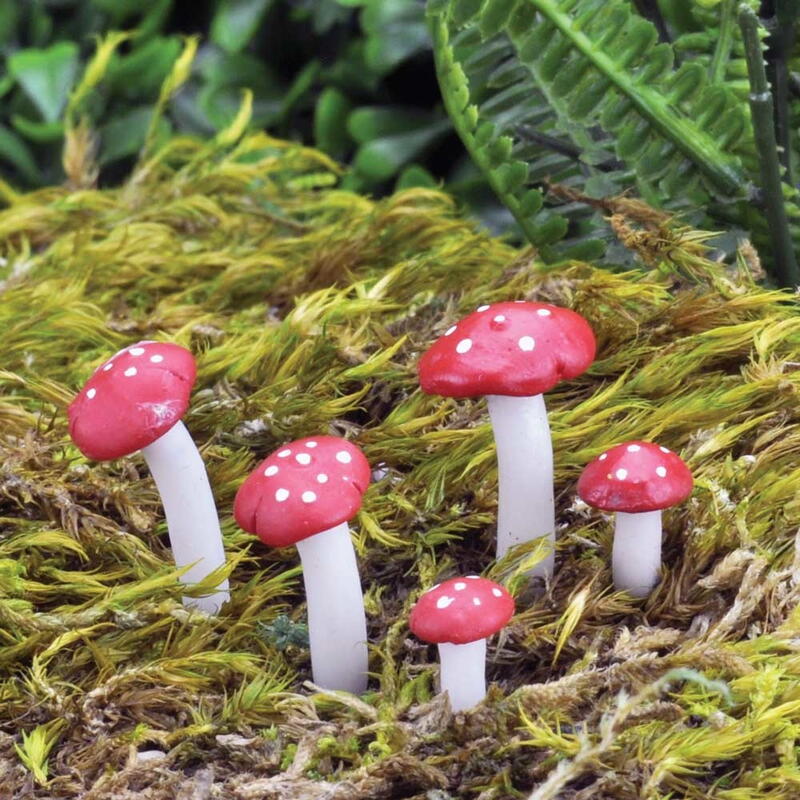 Billede af Fly agaric mushrooms / Fluesvampe
 fra Fiddlehead Fairy Gardens