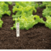 Billede af SOGO planteskilte i træ, modelbillede