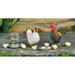 Billede af Rooster, hen & chicks fra Fiddlehead Fairy Garden