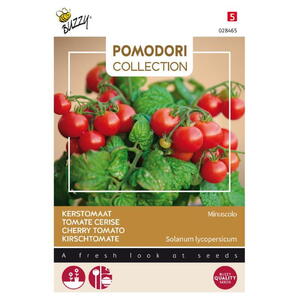 Pomodori Coll. Cherrytomat / kirsebærtomat Micro Tom, frø