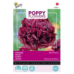 Poppy Coll., Valmue, pæon-, Black Paeony, frø