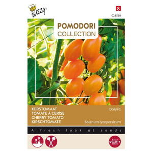 Pomodori Coll., Cherrytomat, Dolly, F1, frø