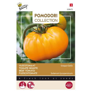Pomodori Coll., Bøftomat, Brandywine Yellow / Grappa Gialla, frø