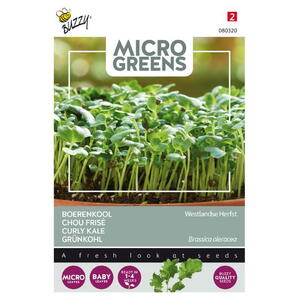 Micro Greens, Grønkål, Westland Autumn, frø