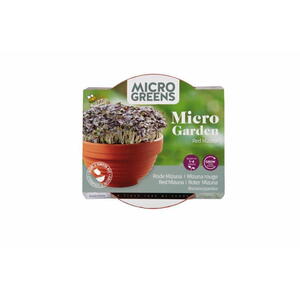 Micro Greens, Grow kit, Red Mizuna inkl. potte