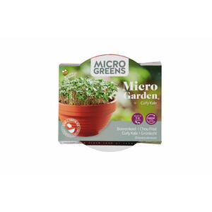 Micro Greens, Grow kit, Grønkål inkl. potte