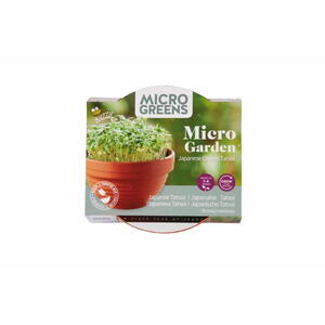 Micro Greens, Grow kit, Japansk Tatsoi inkl. potte