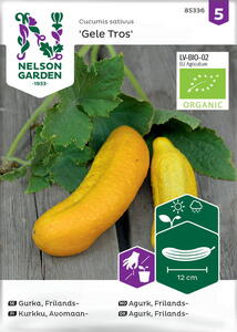 Økologisk agurk, frilands-, Gele Tros, frø. *Sidste salgsdato september* 