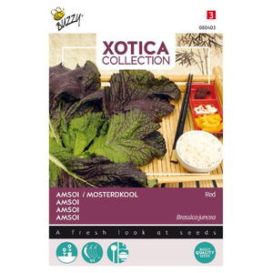 Xotica Coll., Sareptasennep, Indian Mustard Rød, frø