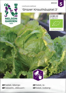 Økologisk salat, Iceberg-, Grazer Krauthäuptel 2, frø. *Sidste salgsdato september* 