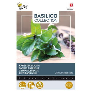 Basilico Coll., Kanelbasilikum, frø