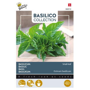 Basilico Coll., Smalbladet basilikum, frø
