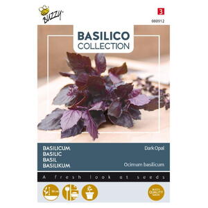 Basilico Coll., Dark Opal, frø