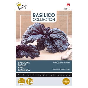 Basilico Coll., Rød salatbasilikum, frø