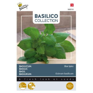 Basilico Coll., Basilikum, Blue Spice, frø