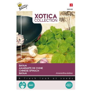 Xotica Coll., Kinesisk spinat, frø