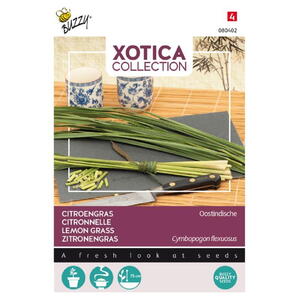 Xotica Coll., Citrongræs, frø
