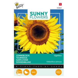 Sunny Flowers, Solsikke, Giganteus, frø