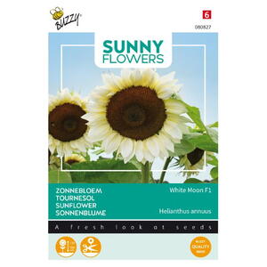 Sunny Flowers, Solsikke, White Moon F1, frø
