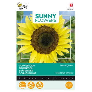 Sunny Flowers, Solsikke, Høj, Lemon Queen, frø