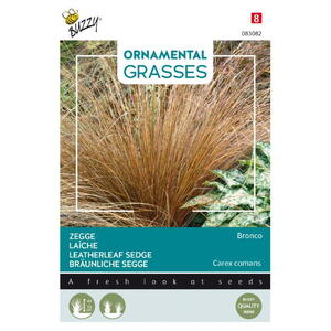 Ornamental Grasses, Star, Bronco, frø