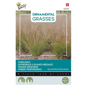 Ornamental Grasses, Præriegræs, frø