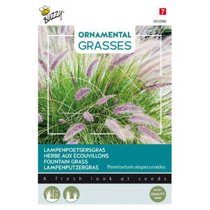 Ornamental Grasses, Lampepudsergræs, frø
