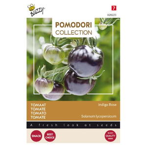 Pomodori Coll., Tomat, Indigo Rose, frø
