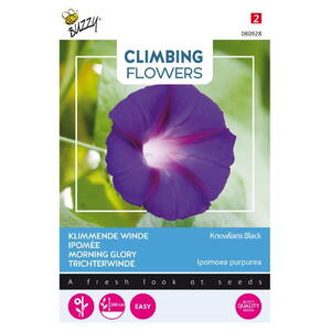 Climbing Flowers, Purpur-pragtsnerle, Knowlians Black, frø
