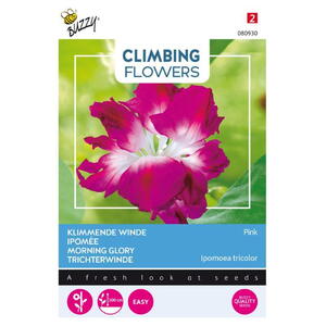Climbing Flowers, Pragtsnerle, Double Pink, frø