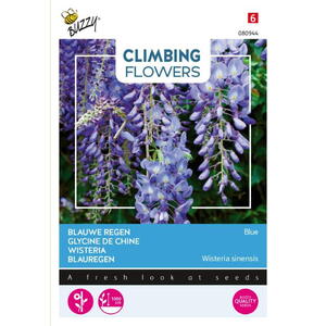 Climbing Flowers, Kinesisk Blåregn, Blue, frø