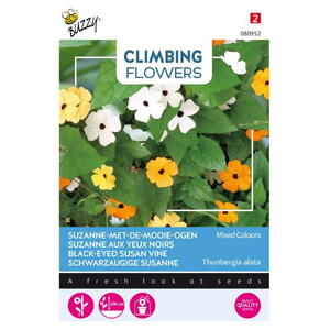 Climbing Flowers, Susanne med det sorte øje, mix, frø